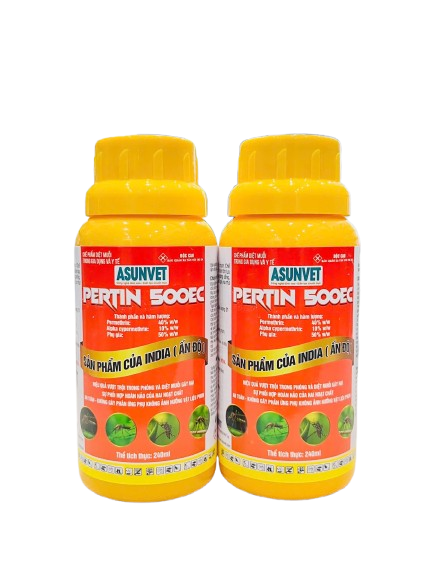 image-removebg-preview - 2025-11-22T080917.555